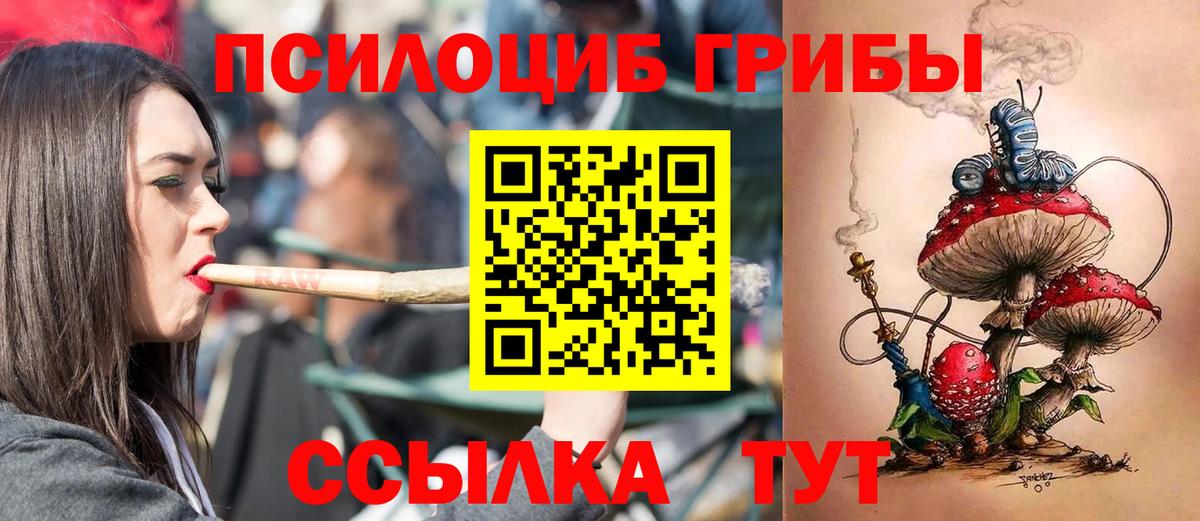 Псилоцибиновые грибы мухоморы Москва