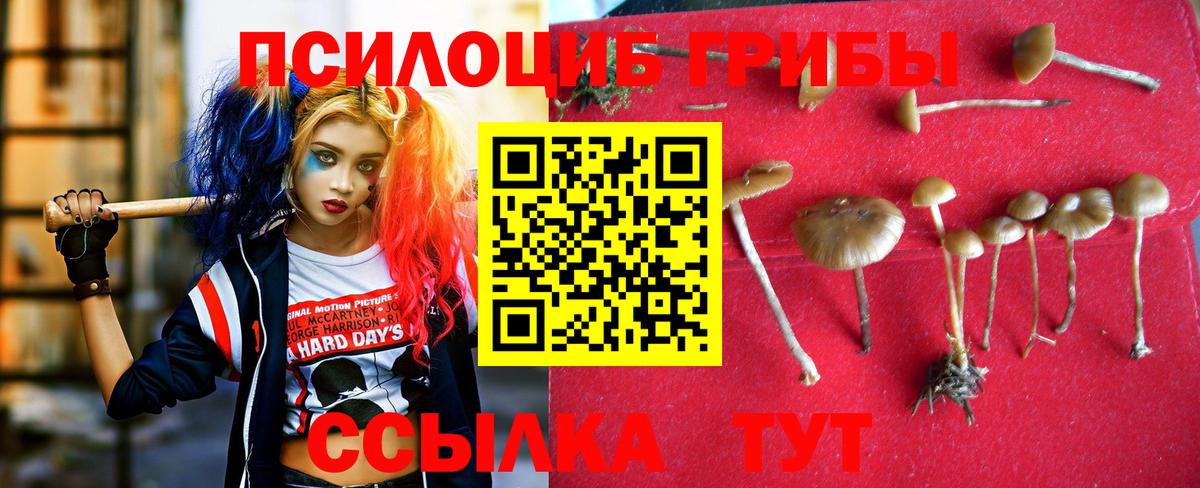 Псилоцибиновые грибы мухоморы  Псилоцибиновые грибы Cubensis  сколько стоит  Москва  Вход с VPN 